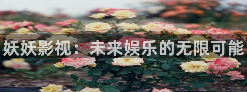 樱花视频网站