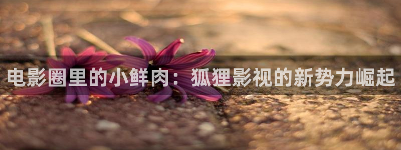 樱花视频免费版高清在线观看