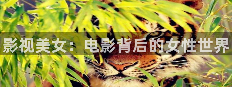 樱花影院电视剧高清在线观看
