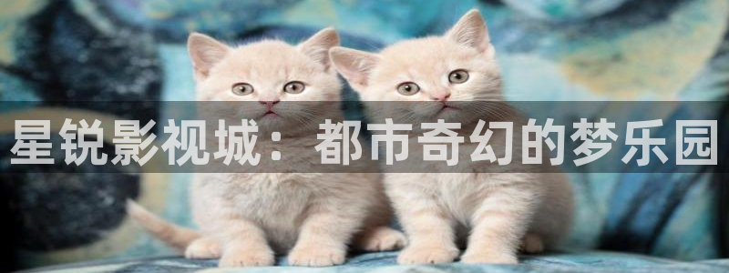 17c樱花视频