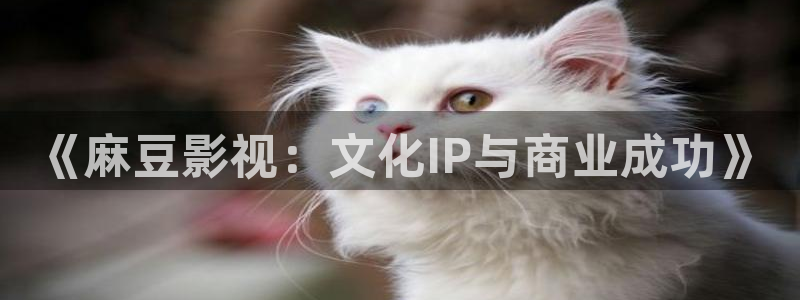 樱花视频国产