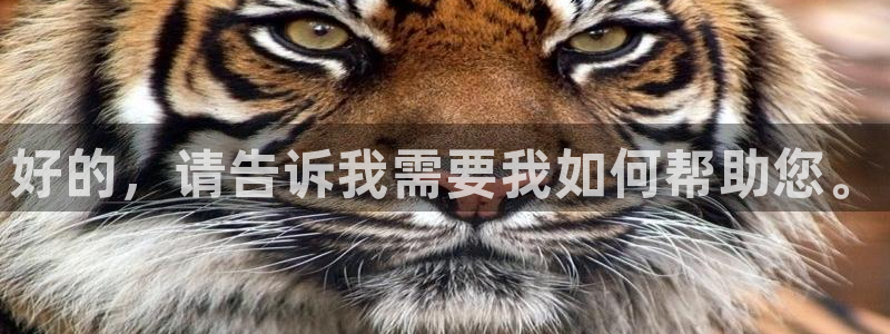 樱花影视大全在线观看电影