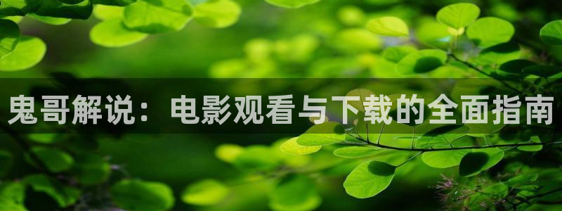 樱花影视大全免费看电视剧最新
