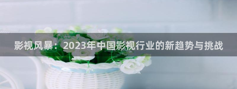 樱花视频.www