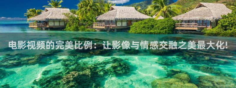 樱花影视最新地址发布页