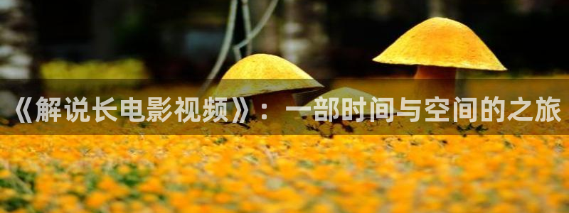 欧美樱花视频