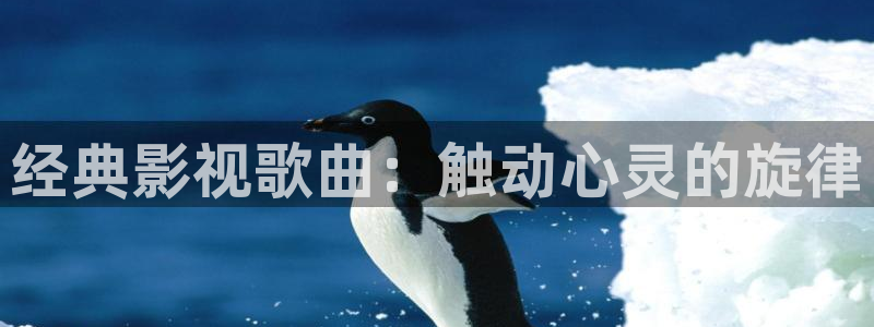 樱花视频yh