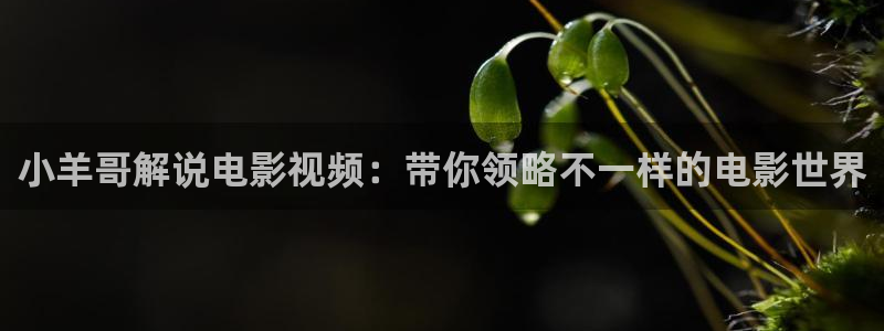 樱花视频vip