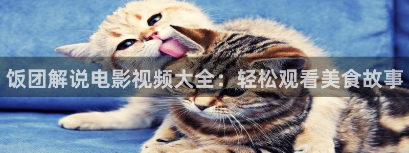 什么樱花视频最色：饭团解说电影视频大全：轻松观看美食故事