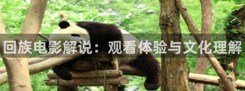 久久樱花影院