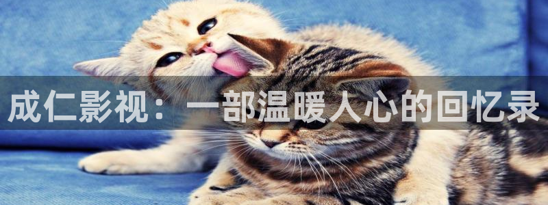 樱花视频4