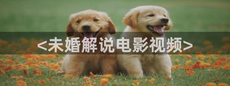 樱花视频下樱花视频下载