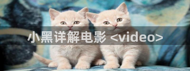 樱花视频电影完整版