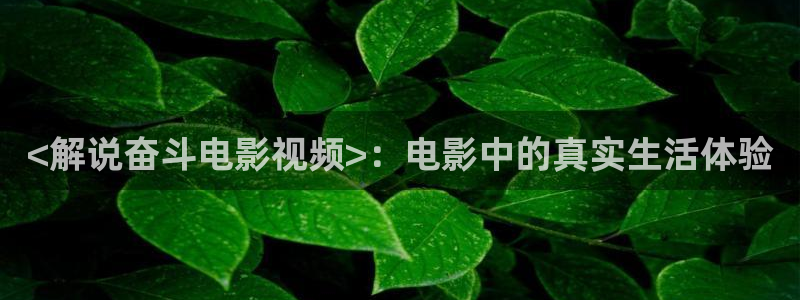 去有风的地方樱花影视