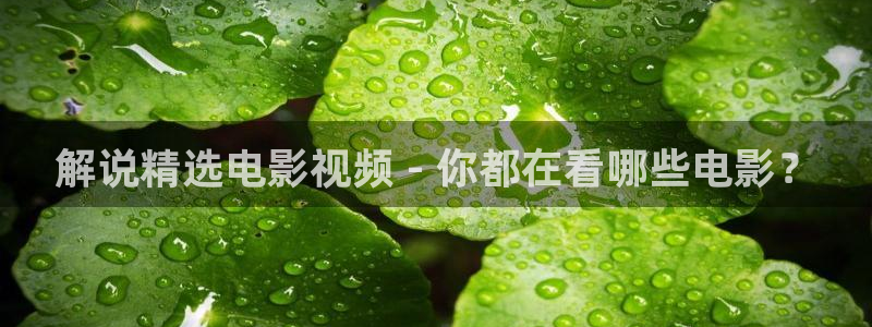 樱花视频日韩