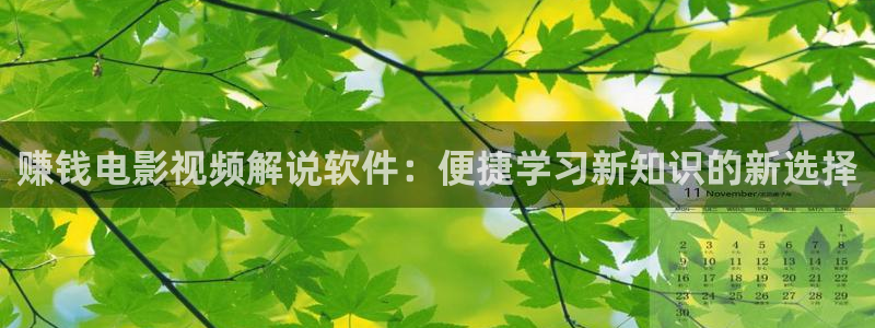 樱花影视一区二区