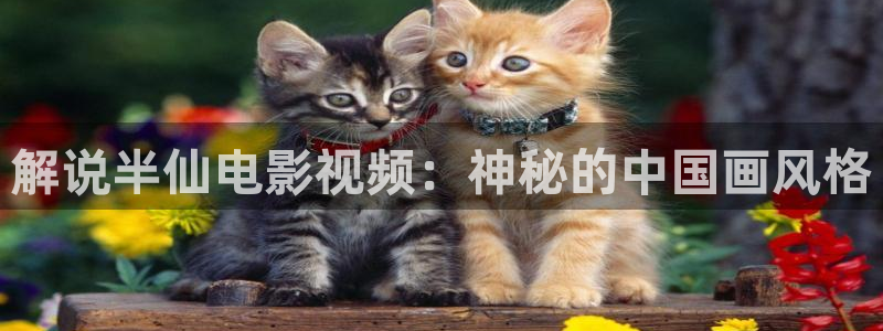 樱花视频色