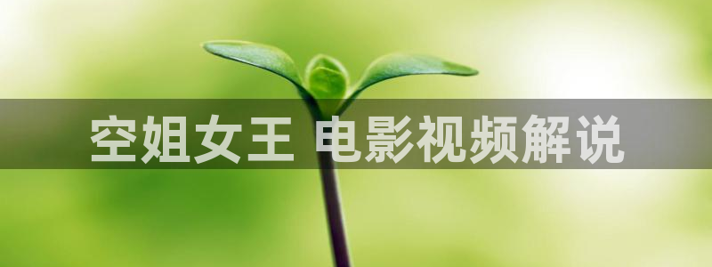免费观看樱花视频