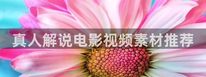 三级樱花影视