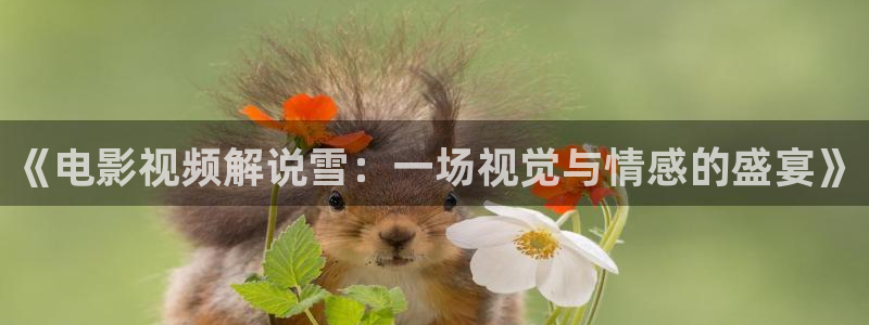 樱花视频电影完整版免费观看