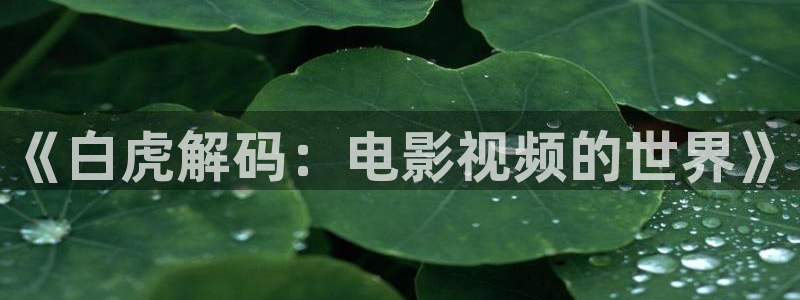 樱花视频怎么下载