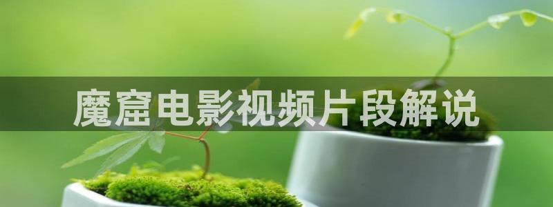 樱花影片在线免费