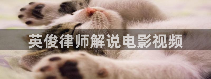 樱花视频免费观看电视剧动漫