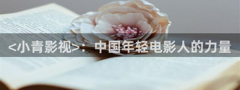 樱花视频电视剧高清免费观看