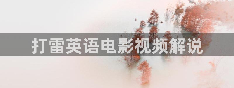 圣痕炼金士樱花视频