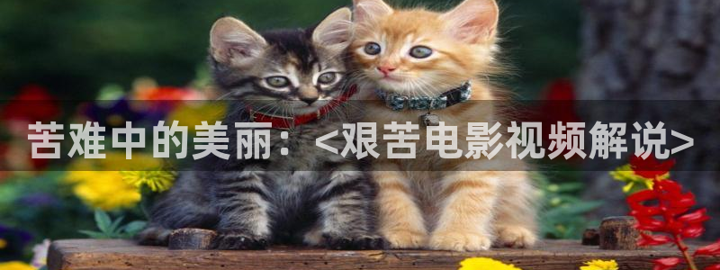我能触碰你的深处吗樱花视频