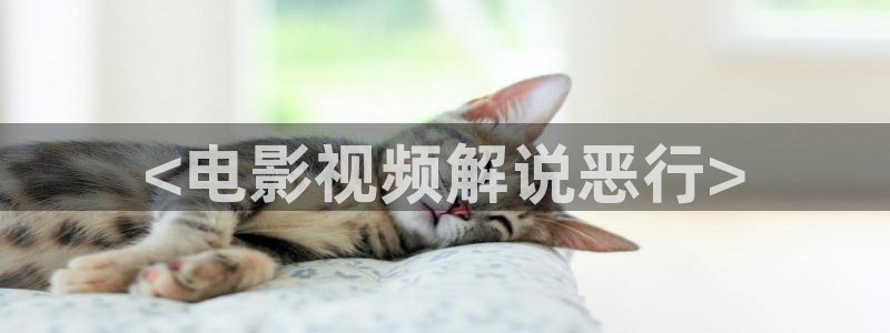 17樱花视频
