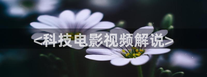 樱花视频网