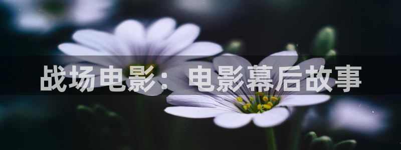 樱花视频的入口