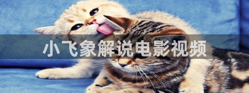 樱花视频在线观看免费视频