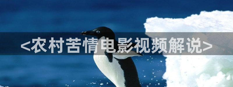 樱花影视免费看电视剧：<农村苦情电影视频解说>