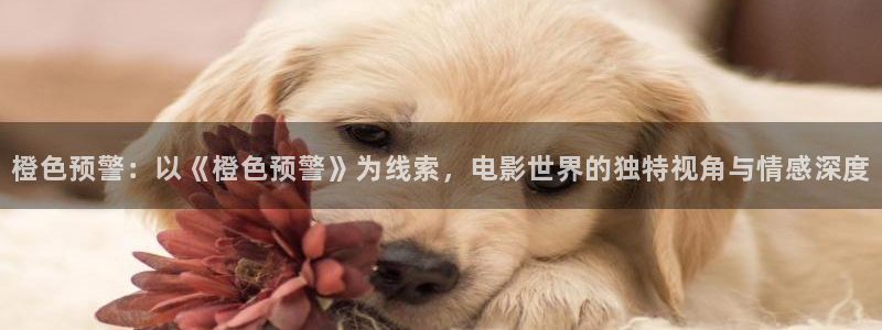 樱花视频真人