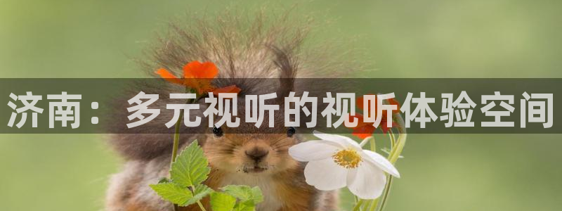 免费的樱花视频