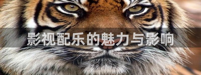 樱花影视大全免费看