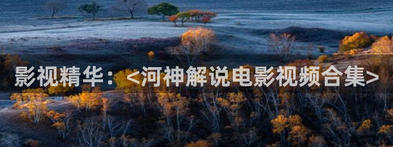 樱花视频素材下载