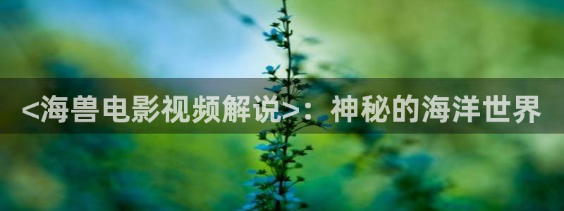 樱花视频在线www观看