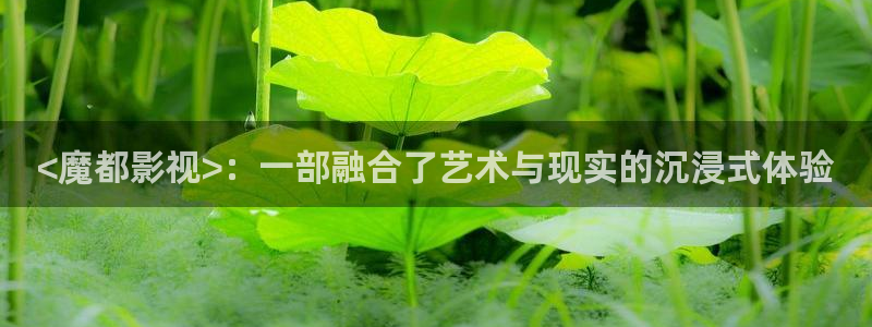 《调教の锁》动漫樱花视频无删减