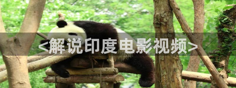 日本高清樱花影院电影电视剧免费