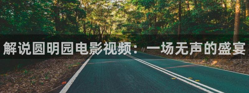 樱花视频在线www