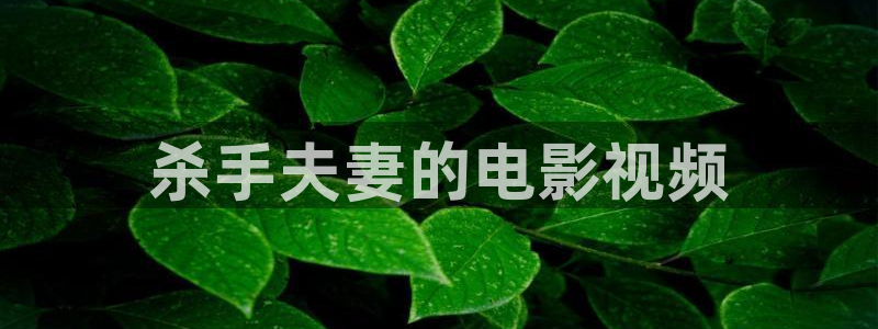 www.gg51.com樱花视频