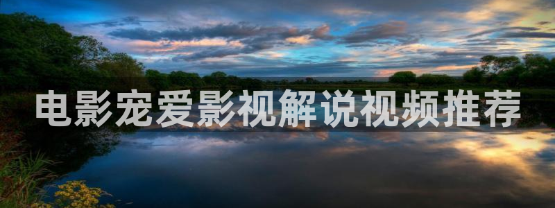 樱花视频在线看www