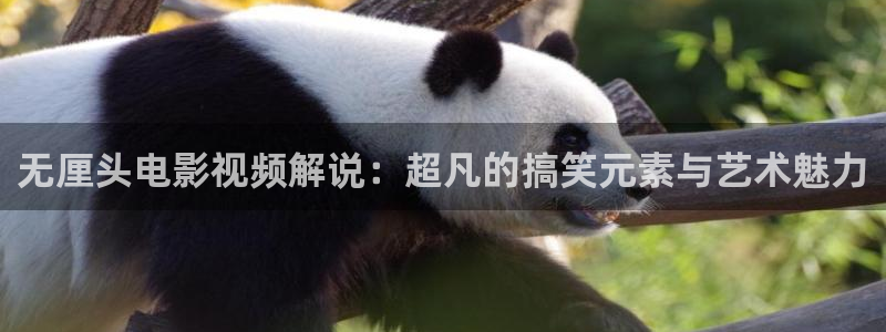 樱花视频下载app下载
