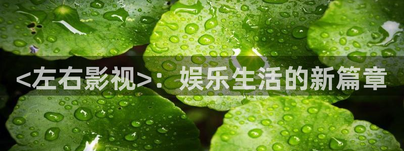 樱花视频怎么下载