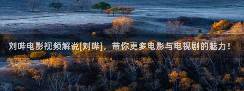 樱花视频下