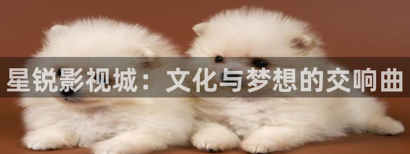 樱花视频软