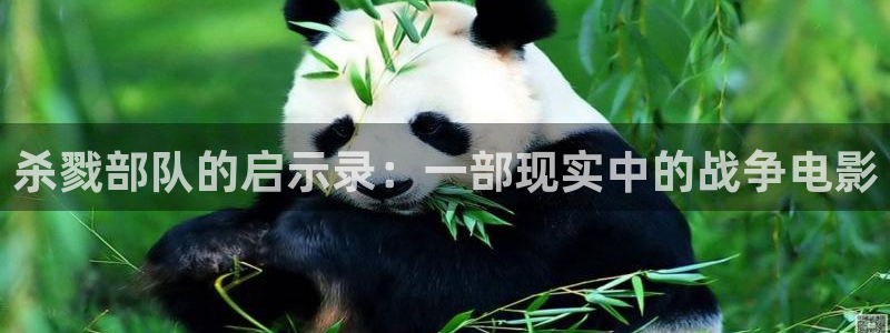 樱花视频成人免费